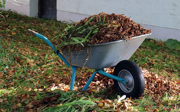 entretien de jardin