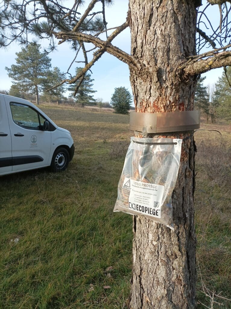 pièges à fixer autour du tronc
