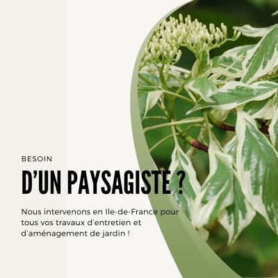 paysagiste 77 entretien de jardin